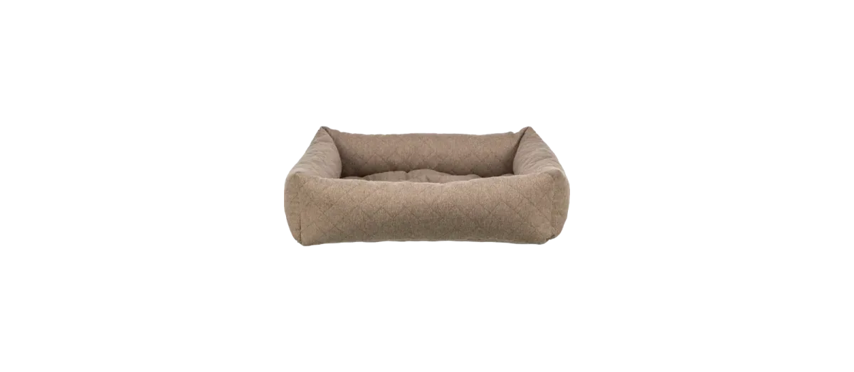 Caliente Hundeseng