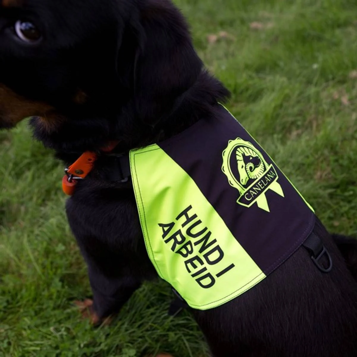 Canelana HUND i ARBEID markringsdekken