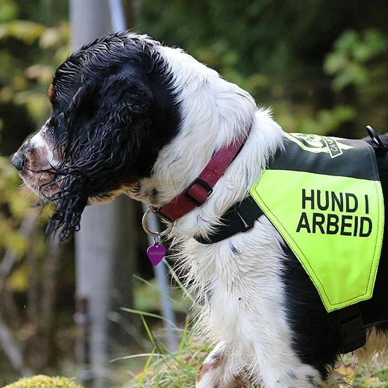 Canelana Markeringsdekken med tekst Hund i Arbeid