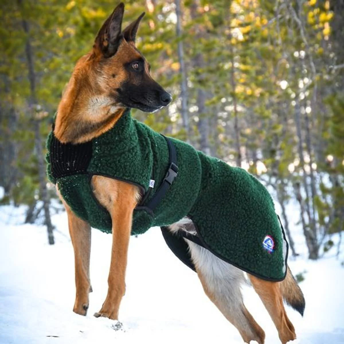 Canelana Selva ulldekken terrier S/M