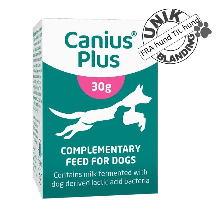 Canius Plus melkesyrebakterier til hund