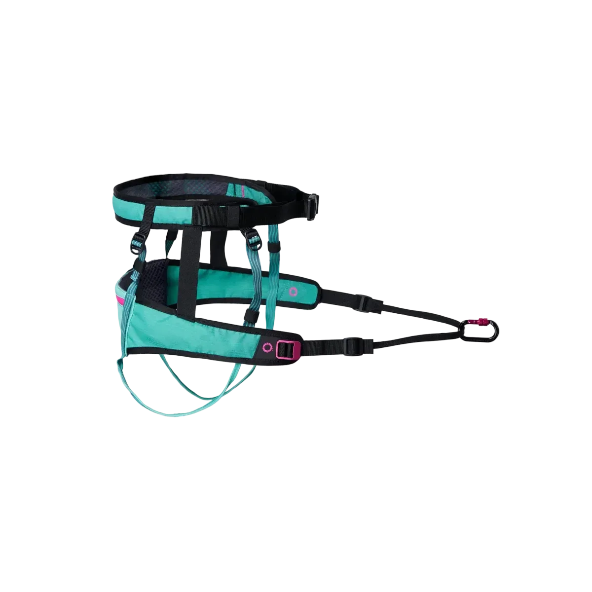 CaniX belt 2.0