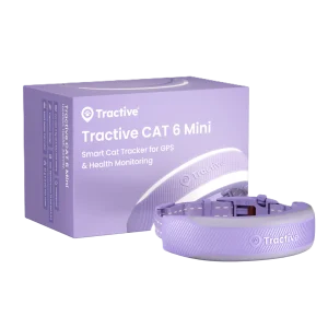 CAT 6 Mini GPS Lavendel