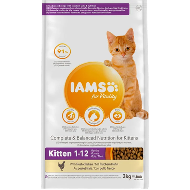 Cat Kitten Chicken - Torrfoder Katt