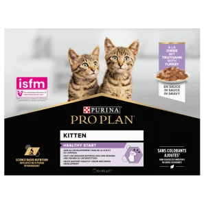Cat Kitten Turkey
