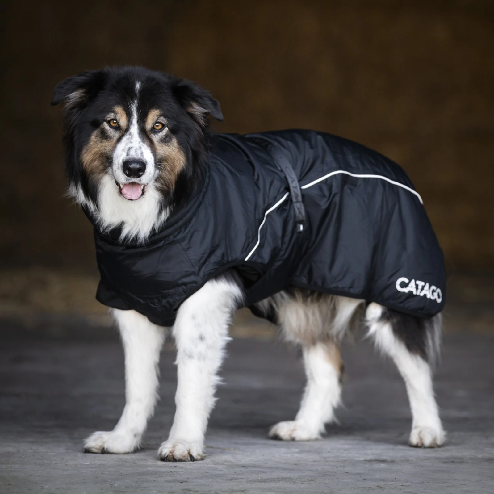 CATAGO FIR-Tech Vinterdekken for Hund - Image 2