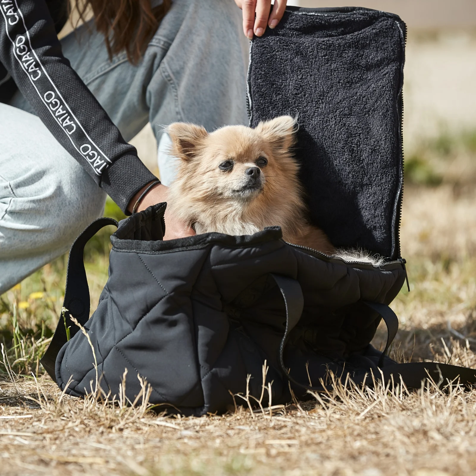 CATAGO vattert hundebag til liten hund - Image 2
