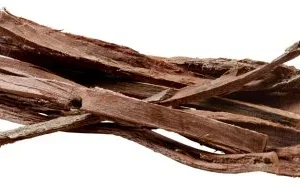 Catappa Bark 12p