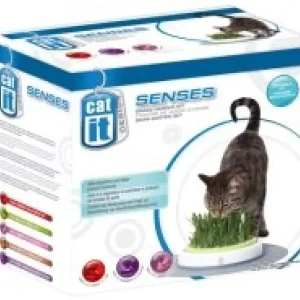 Catit senses Kattegress stasjon