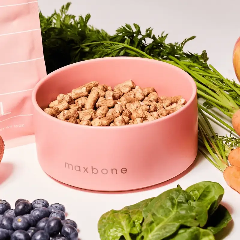 Ceramic Bowl Pink