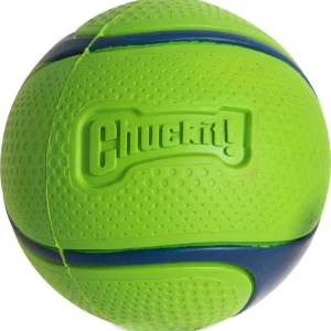 CHUCKIT Sniff fetch ball