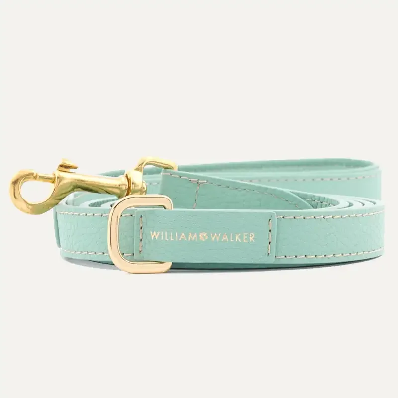 City Leash Mint