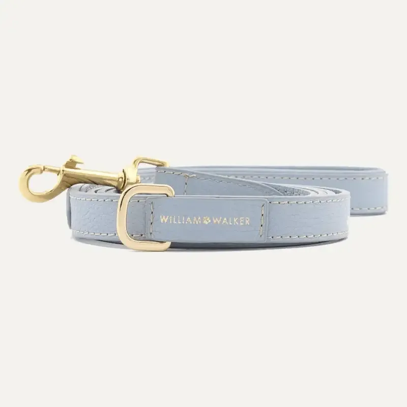 City Leash Sky