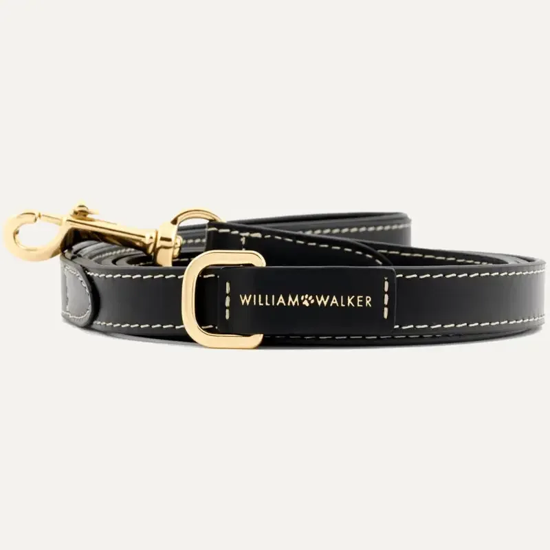 City Leash Smooth Noir