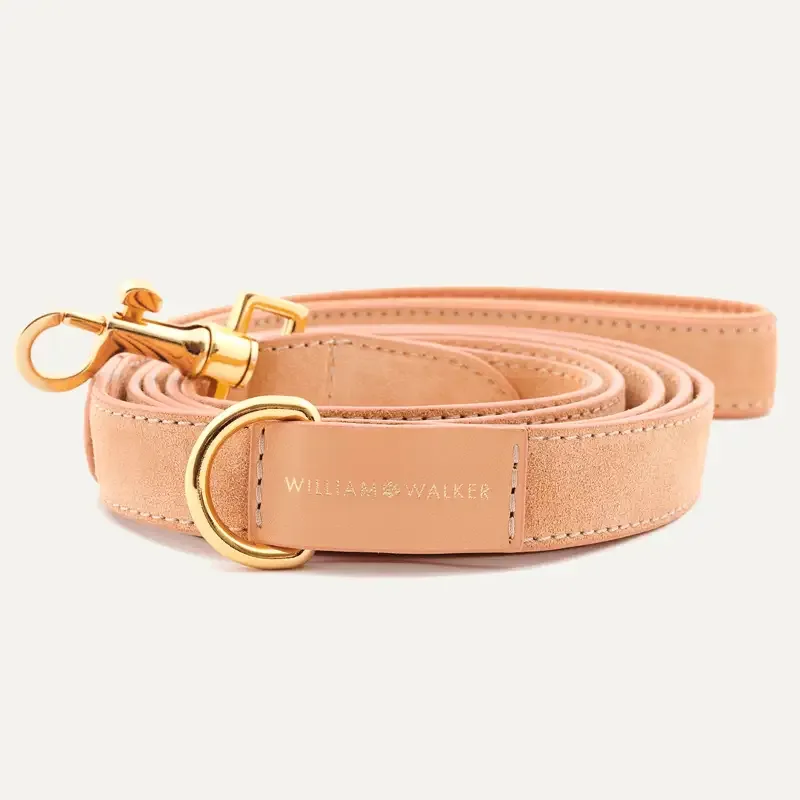 City Leash Suede Coral