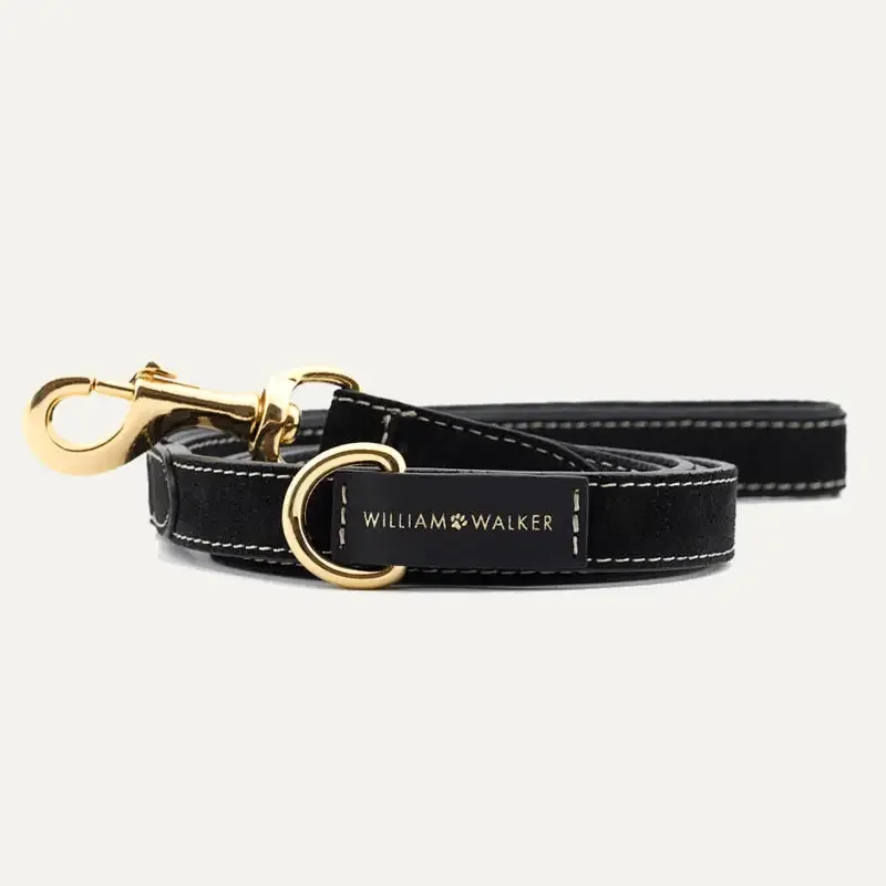 City Leash Suede Royal Black