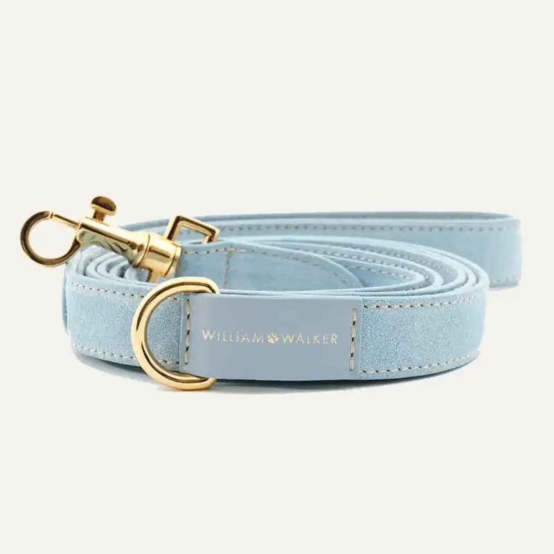 City Leash Suede Sky