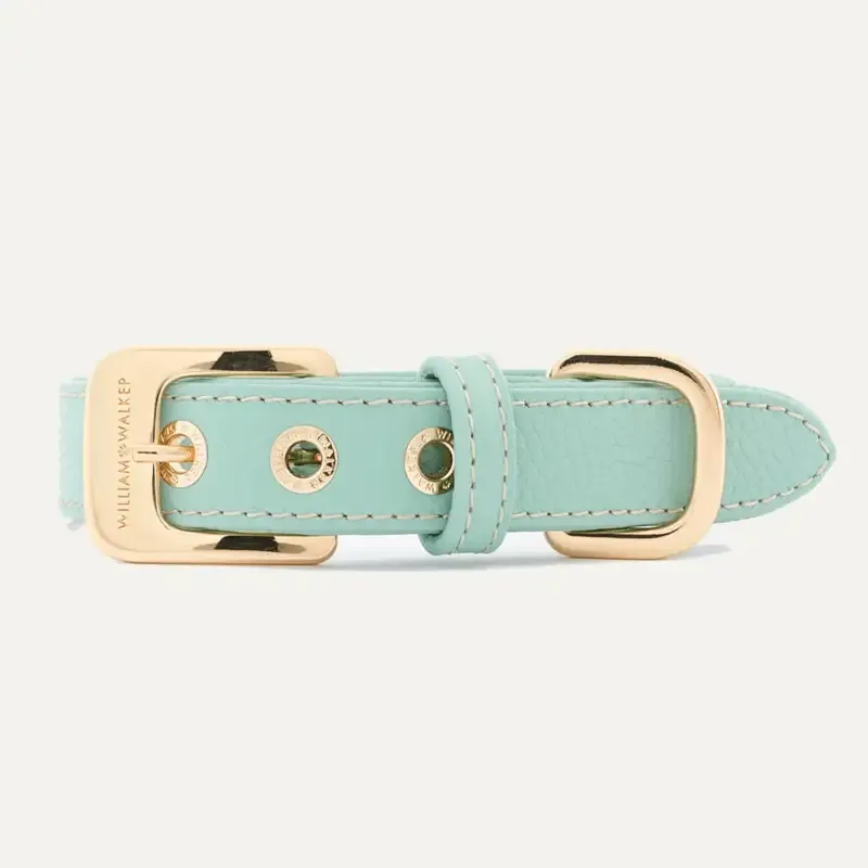Collar Mint