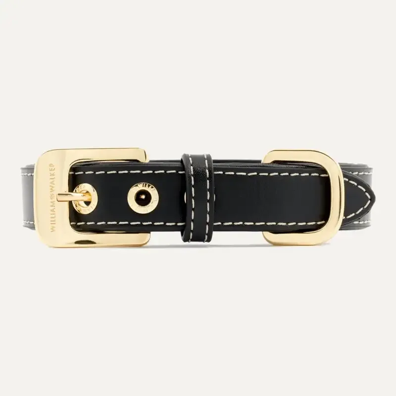 Collar Smooth Noir