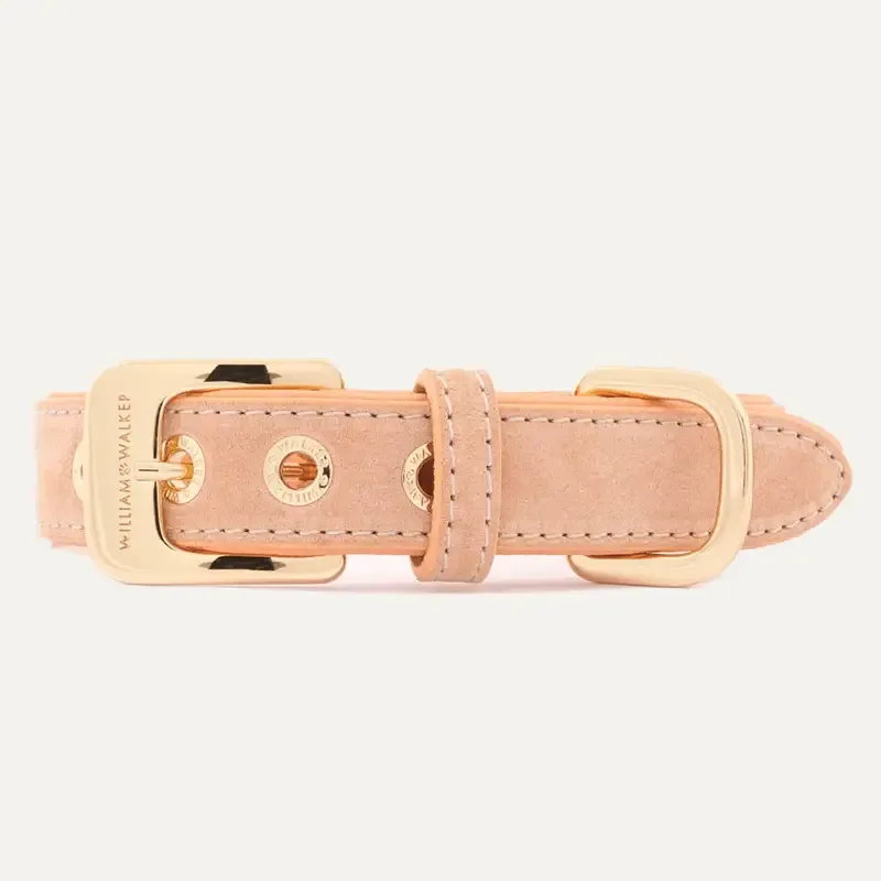 Collar Suede Coral