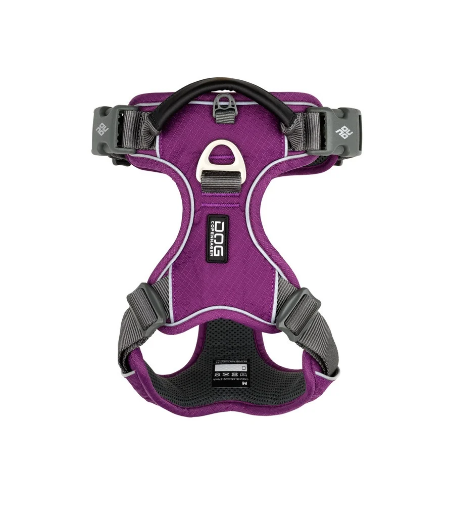 COMFORT WALK PRO Dog Copenhagen, Purple Passion, M