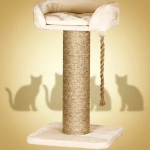 Companion Cat Lion klorestativ 60x60x100 cm