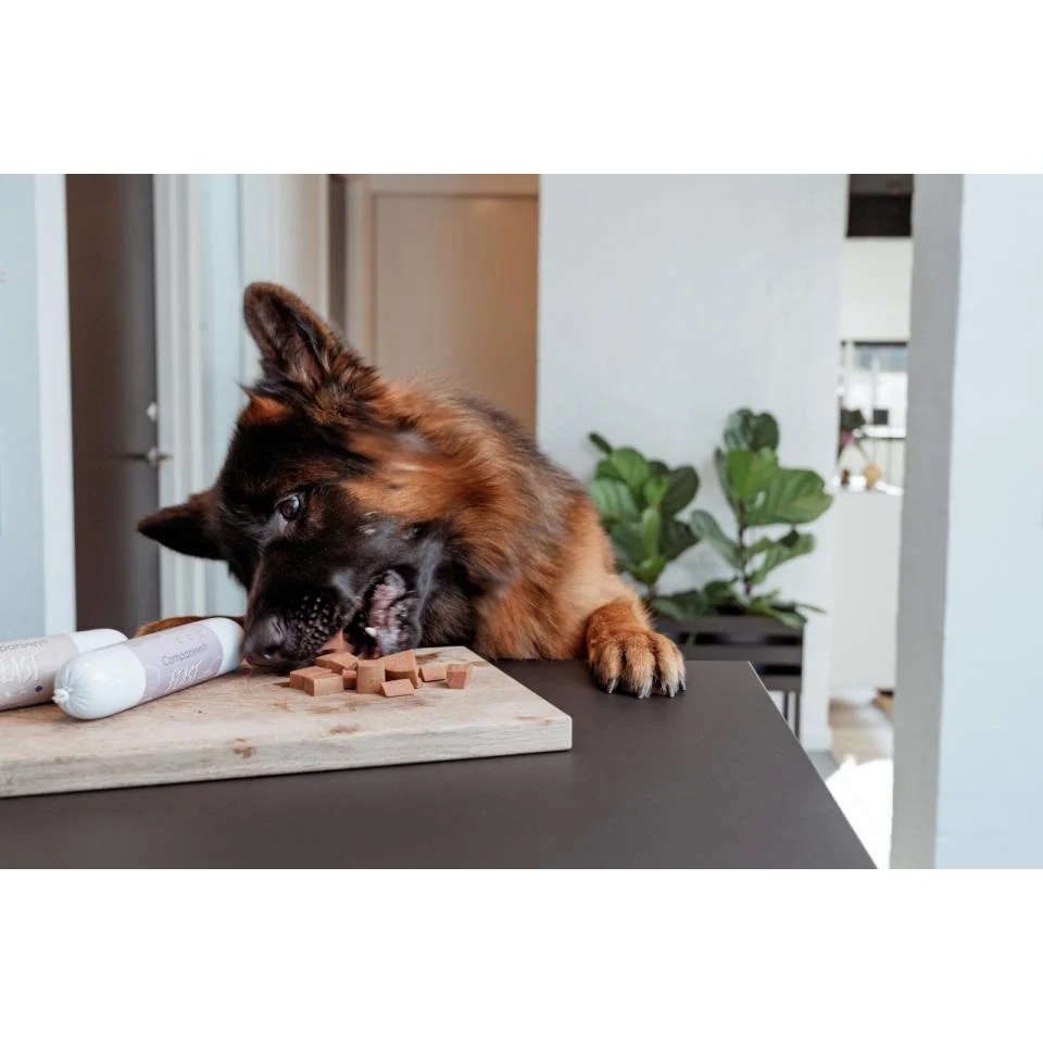Companion+ FEAST hundefôrpølse Biff - Image 2