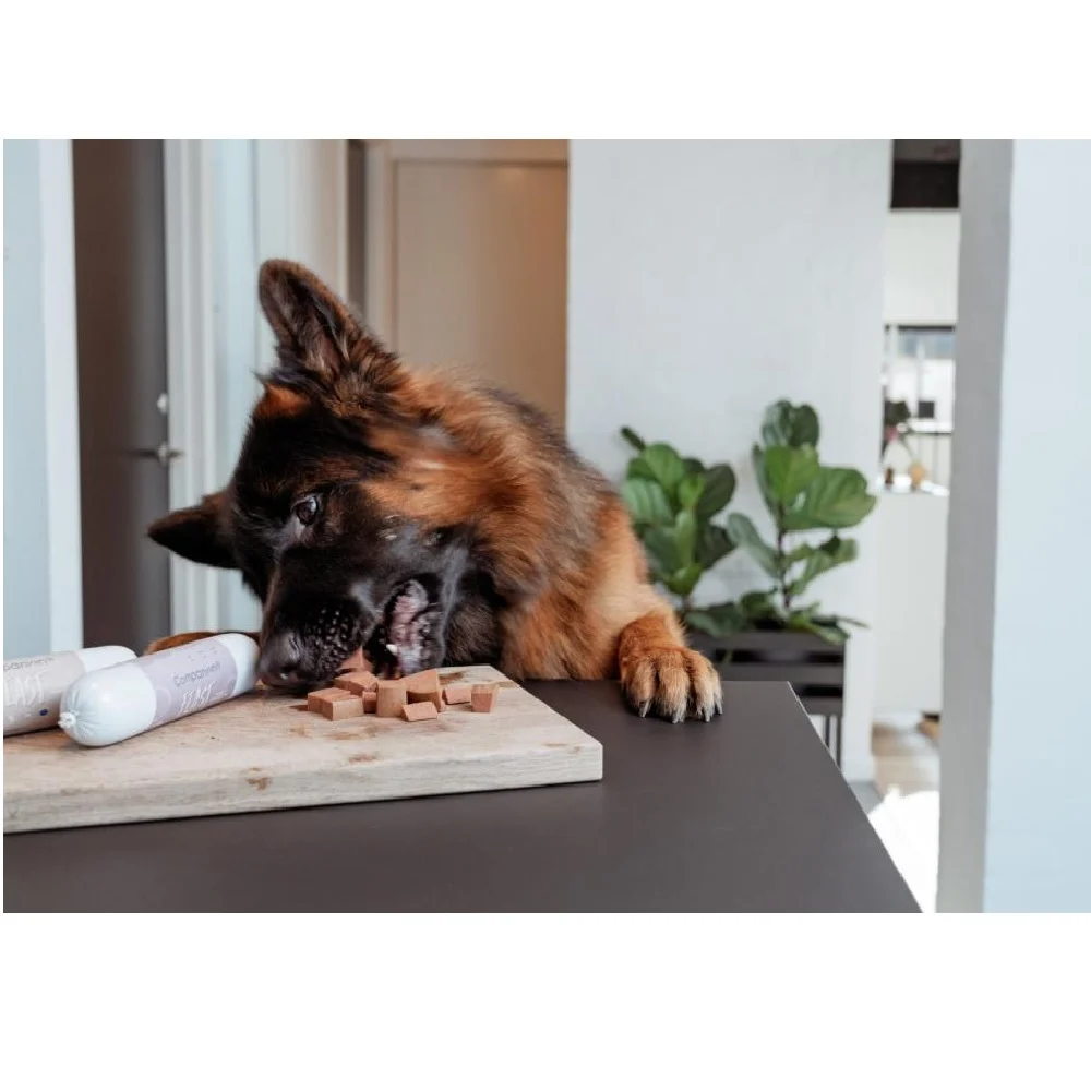 Companion+ FEAST hundepølse 350gram – Hjort - Image 2