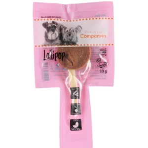 Companion Lollipop – And