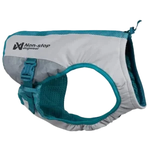 Cooling vest