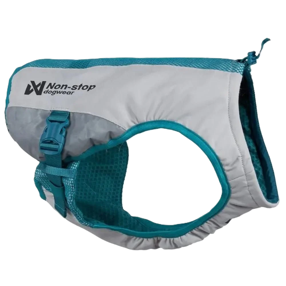 Cooling vest