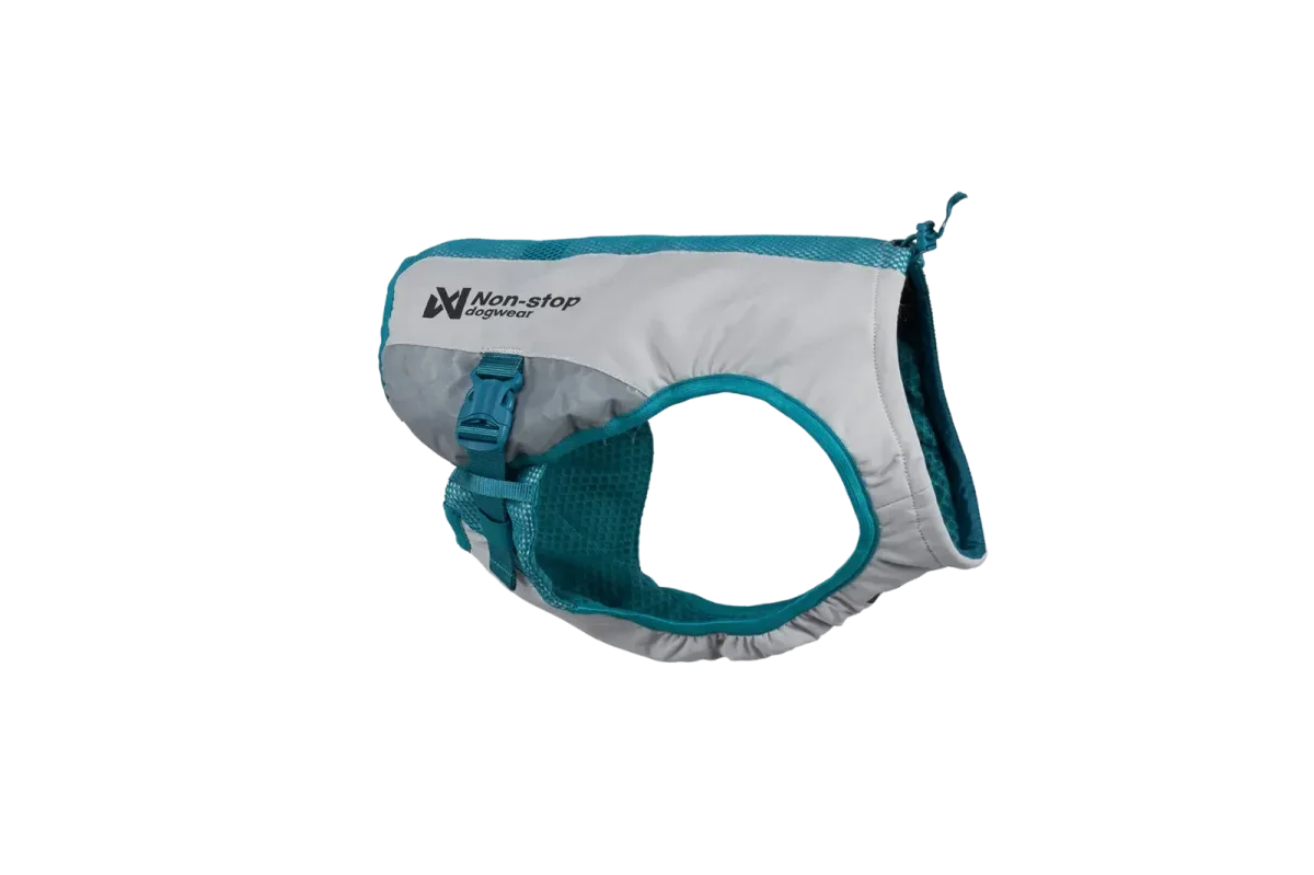 Cooling vest
