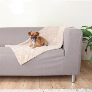 Cosy Blanket