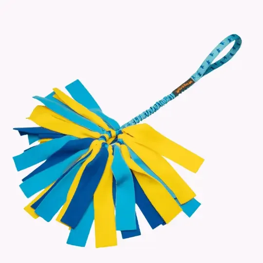 Crazy Thing Bungee Tug