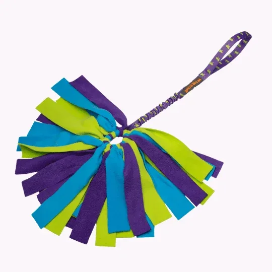 Crazy Thing Bungee Tug