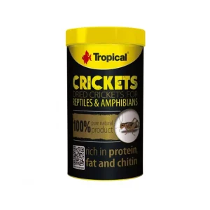 Crickets 100ml 10g