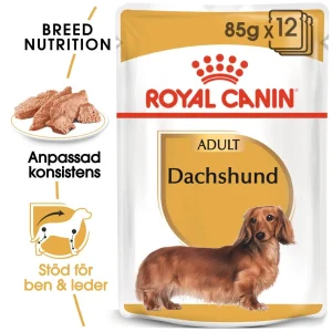 Dachshund Adult v氓tf么r for hunder