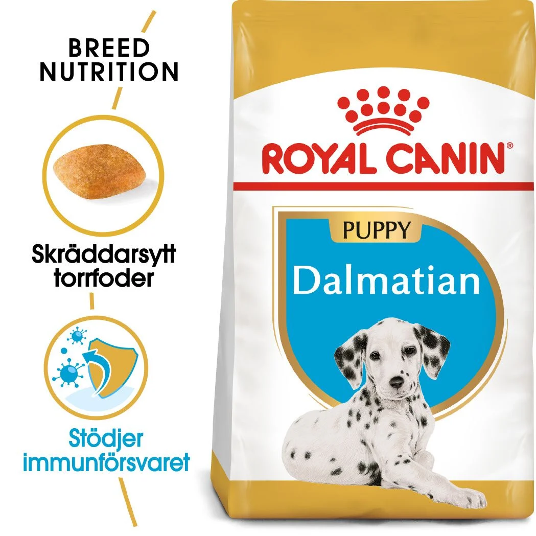Dalmatiner valp