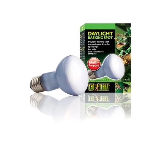 DAYLIGHT ExoTerra, Basking Spot, 50W, R20, E27