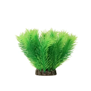 Dekorplante 10cm