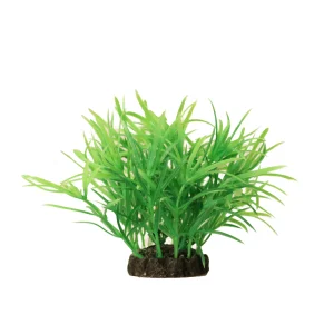 Dekorplante 10cm