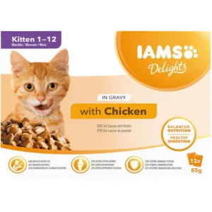 Delights Multipack Kitten Gravy