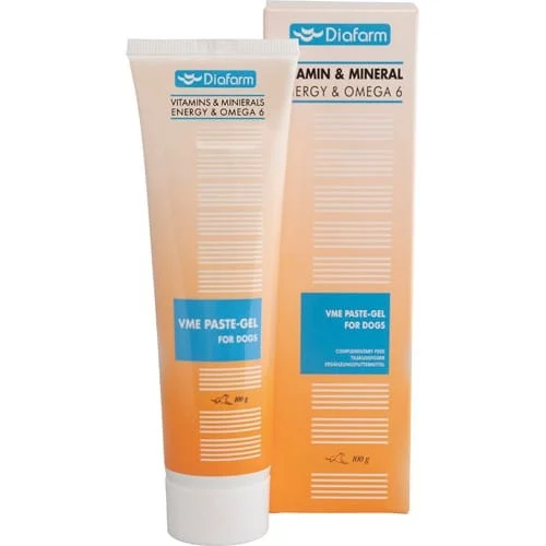 Diafarm Vit/min Energy Paste-Gel + Omega 6 100g