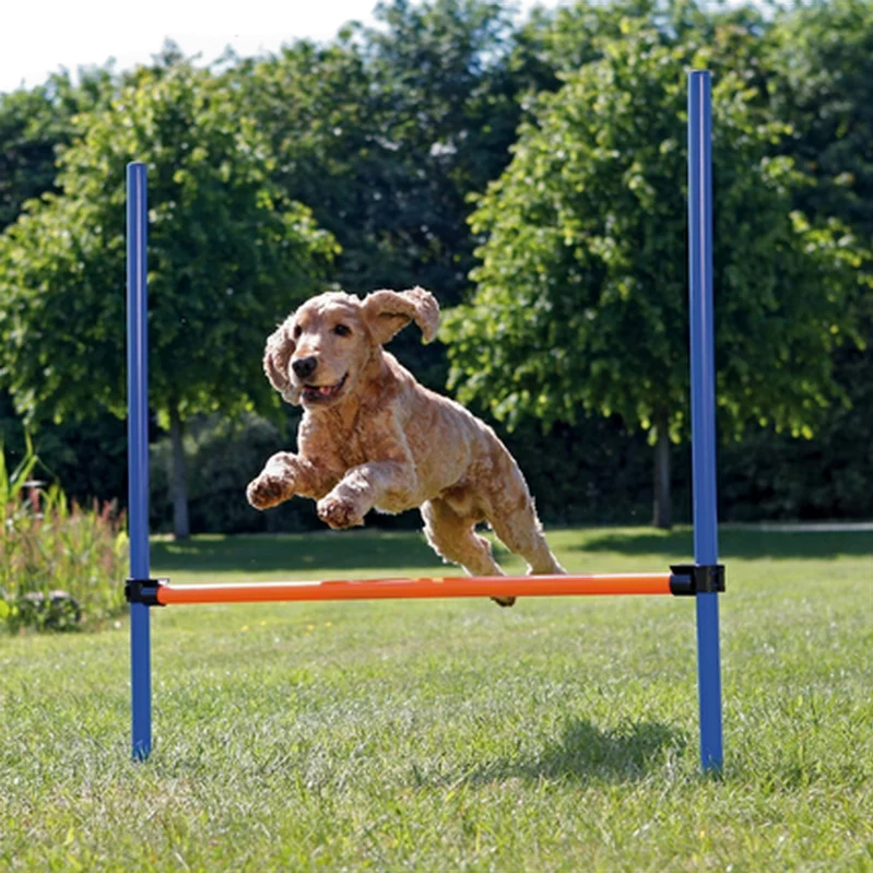 Dog Activity Agility Hurdle - Fully Adjustable Height