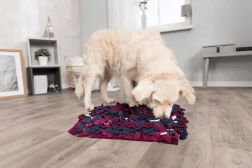 Dog Activity Snusematte 50x34cm