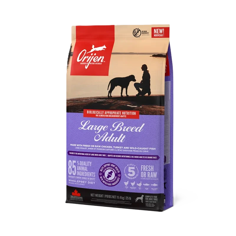 Dog Adult Large Breed