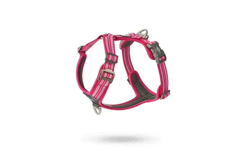 Dog C. Comfort Walk Air™ Harness Wild Rose L