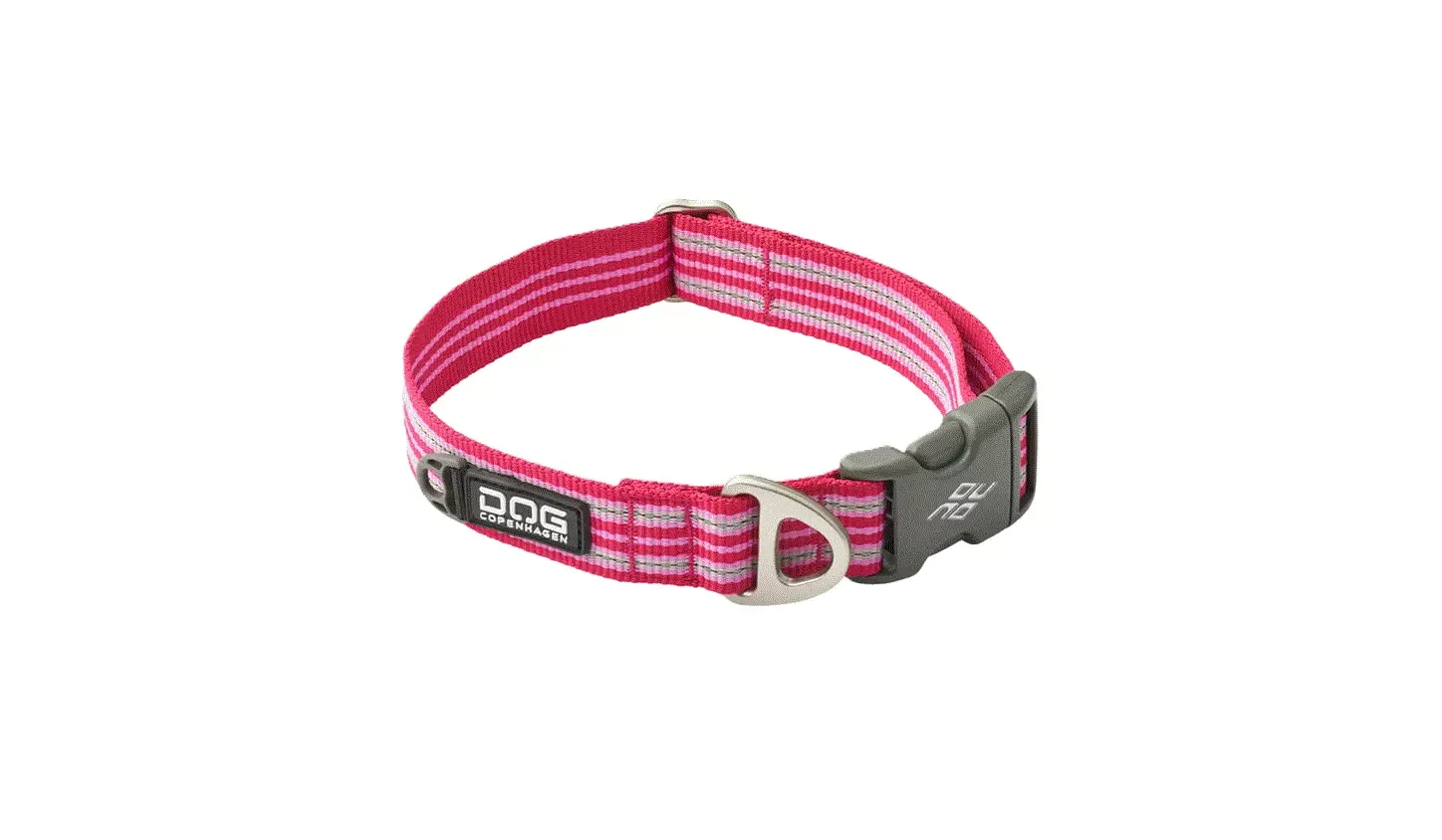 Dog C. Urban Style™ Collar Wild Rose L
