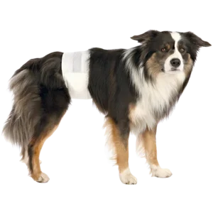 Dog Care Diapers for Male Dogs Disposable