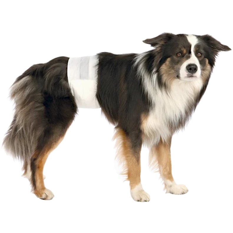 Dog Care Diapers for Male Dogs Disposable